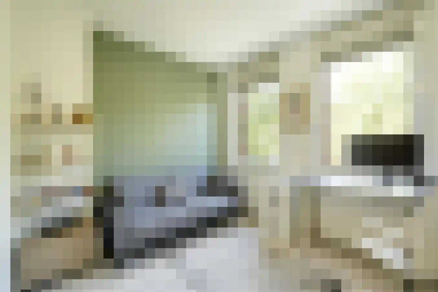 van Maanenstraat 19 Eindhoven thumbnail 40