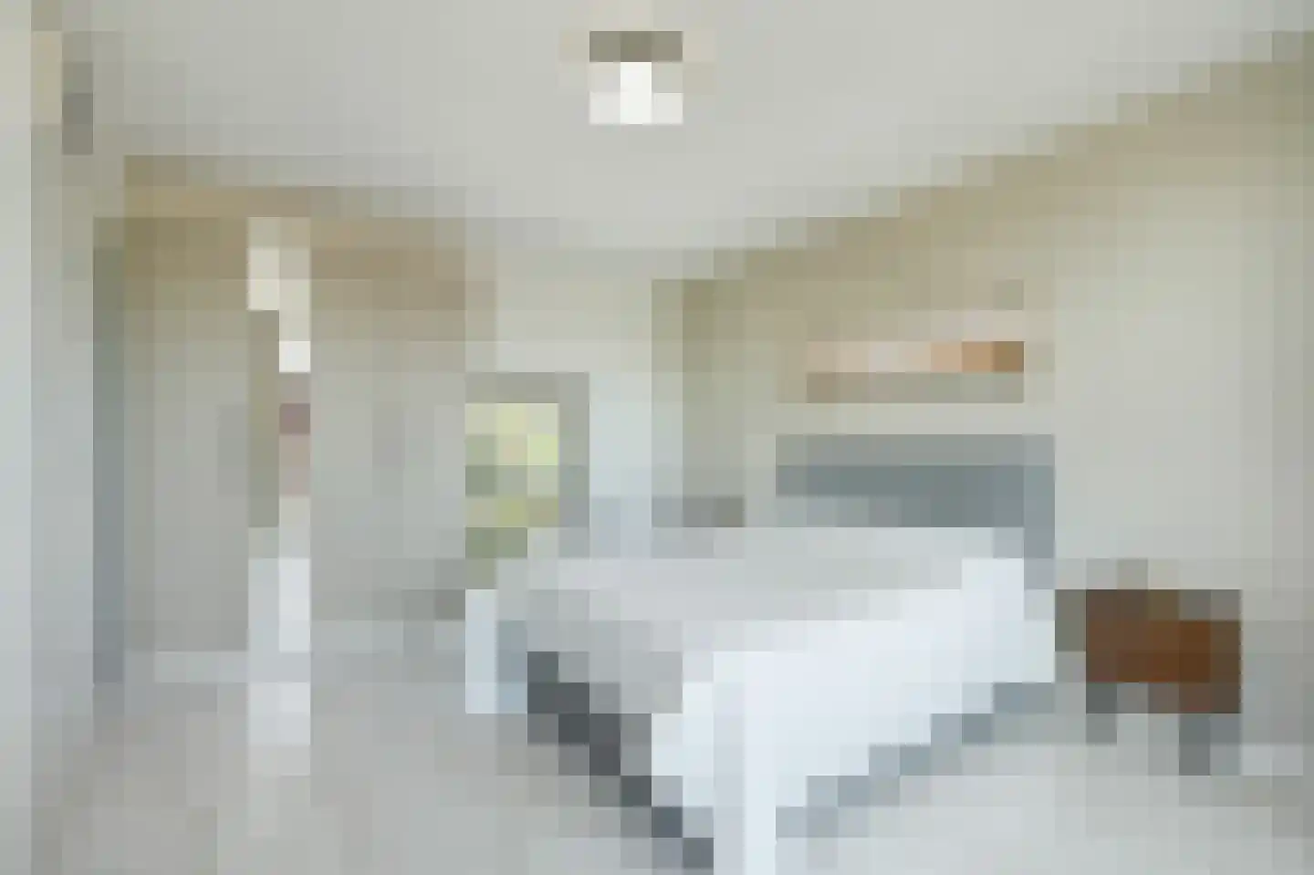van Maanenstraat 19 Eindhoven thumbnail 46