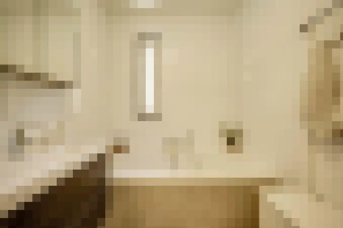 van Maanenstraat 19 Eindhoven thumbnail 5