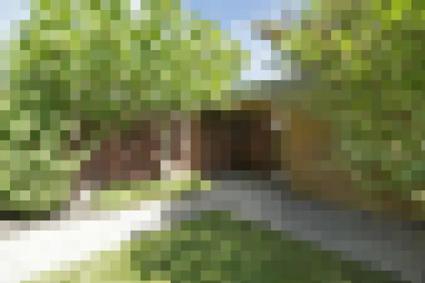 van Maanenstraat 19 Eindhoven thumbnail 59