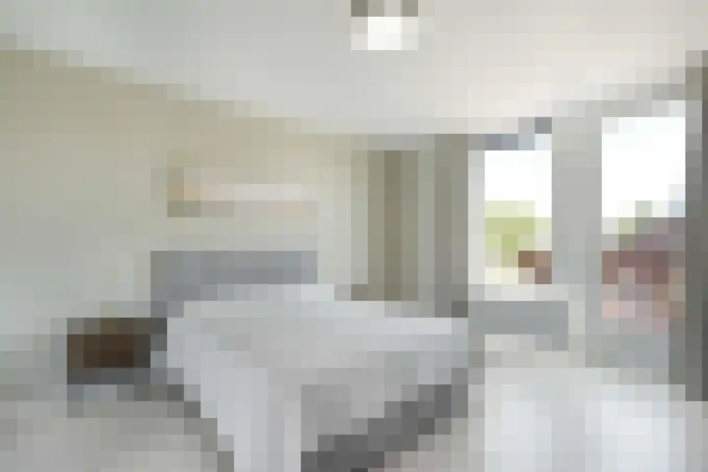 van Maanenstraat 19 Eindhoven thumbnail 6