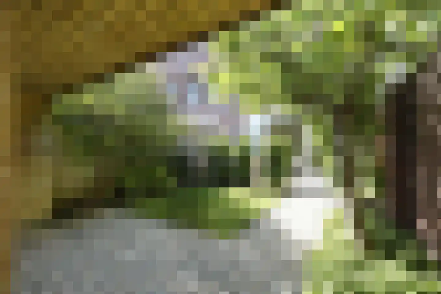 van Maanenstraat 19 Eindhoven thumbnail 61