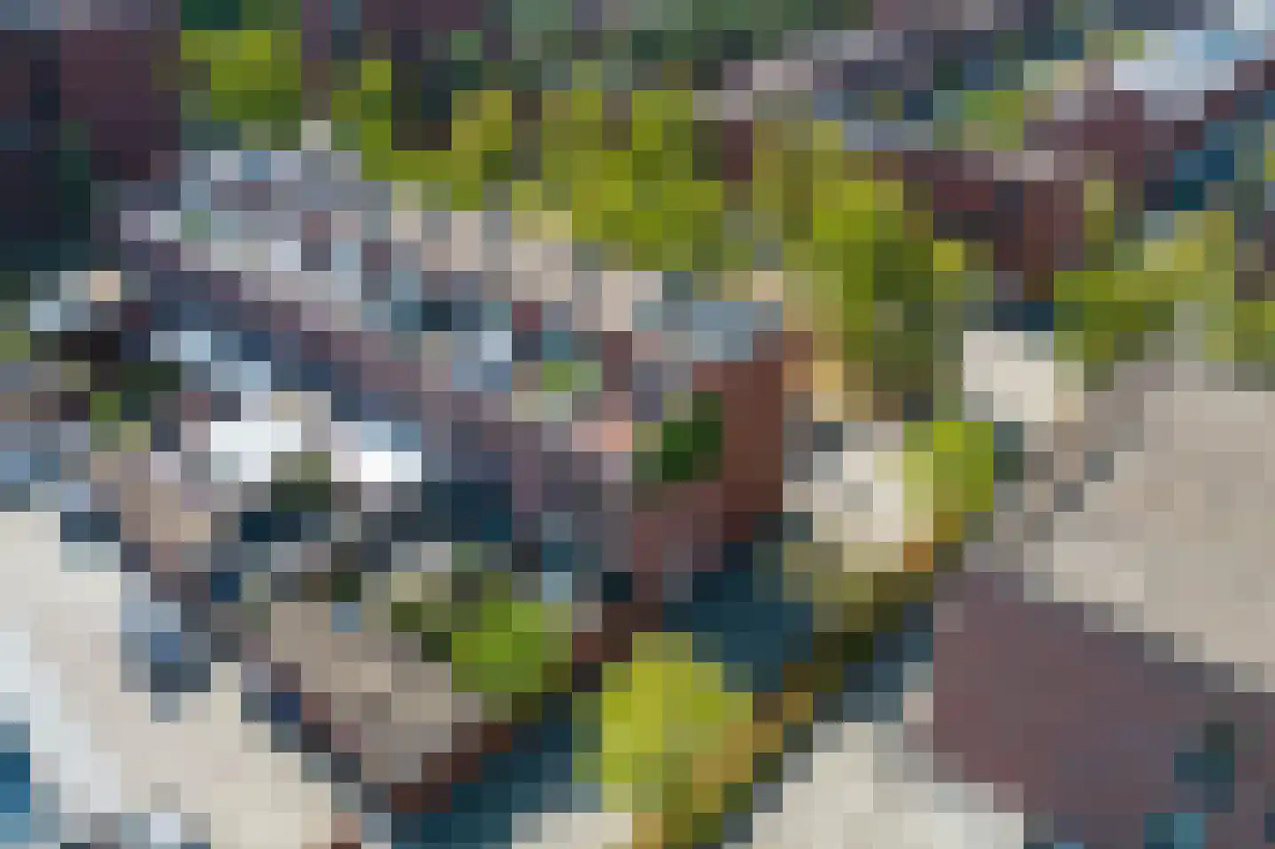 van Maanenstraat 19 Eindhoven thumbnail 70