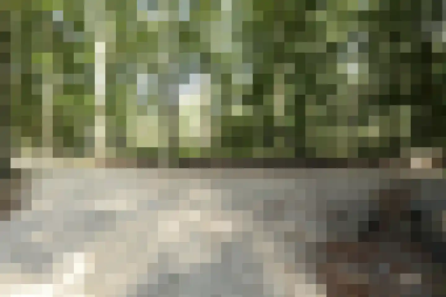 van Maanenstraat 19 Eindhoven thumbnail 75