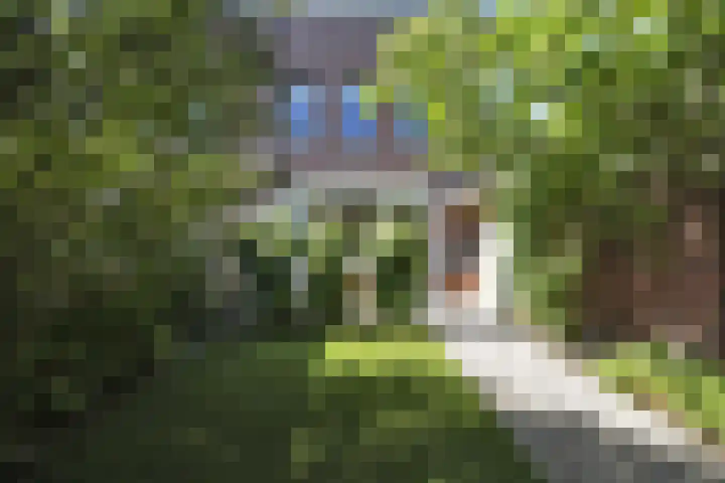van Maanenstraat 19 Eindhoven thumbnail 8