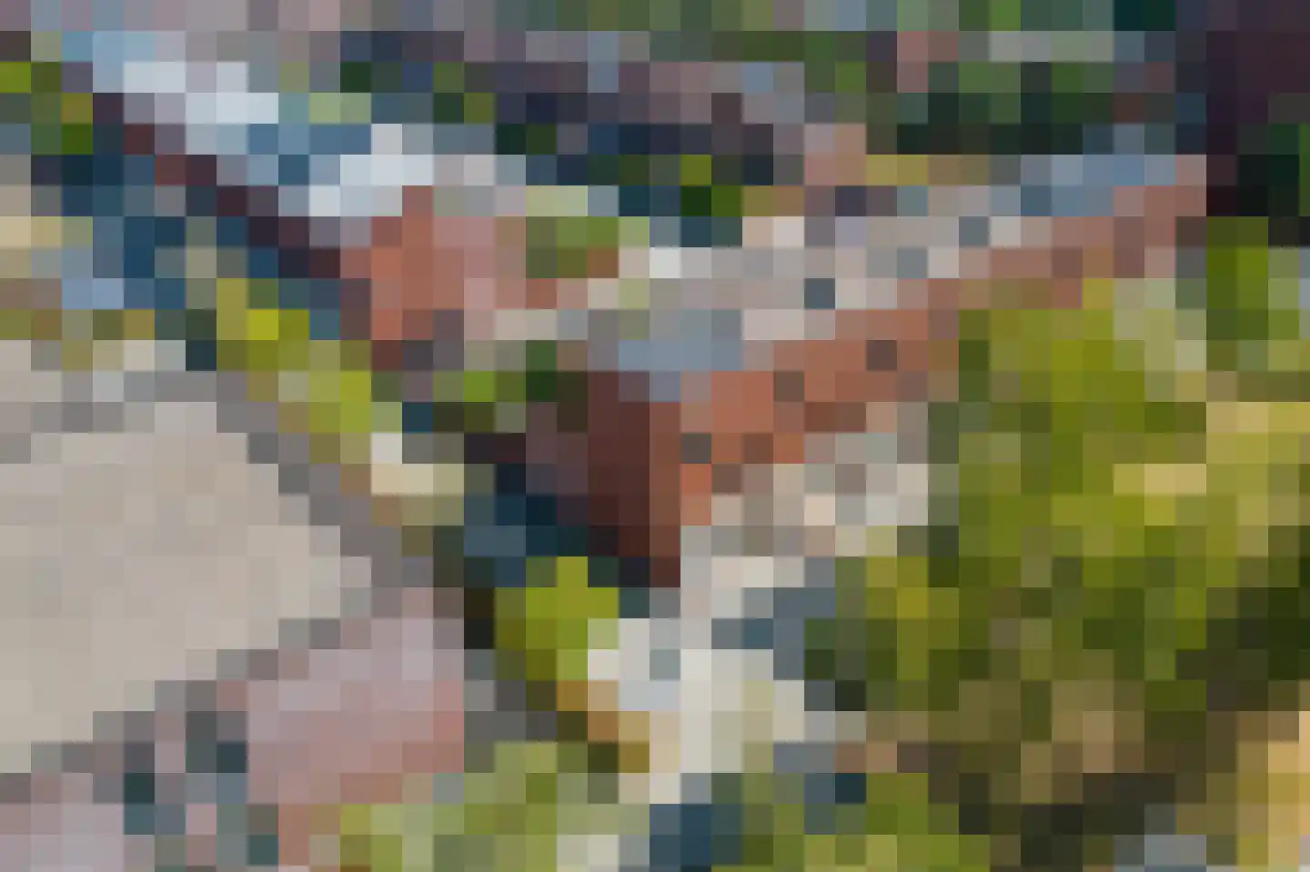 van Maanenstraat 19 Eindhoven thumbnail 9