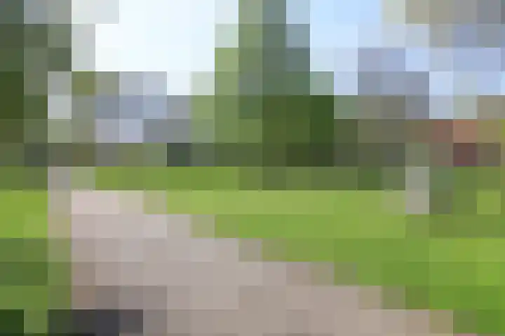 Van Maanenstraat 21 C Rotterdam thumbnail 32