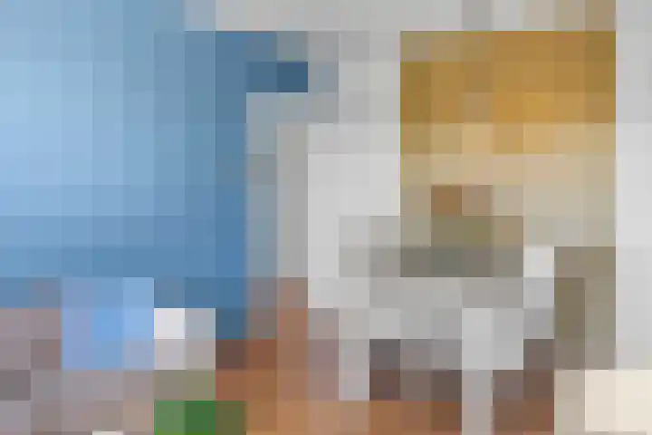 Van Maanenstraat 21 C Rotterdam thumbnail 5