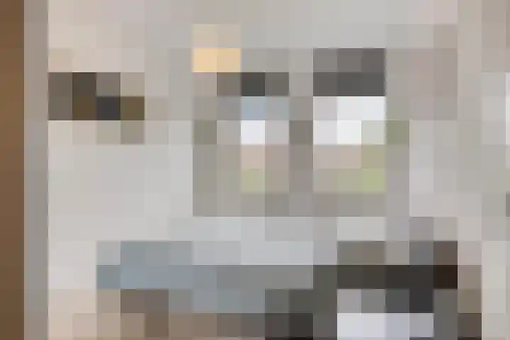 van Maanenstraat 28 Eindhoven thumbnail 15
