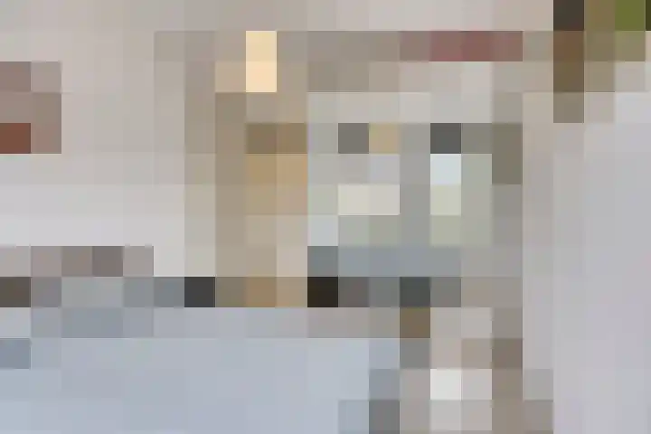van Maanenstraat 28 Eindhoven thumbnail 16
