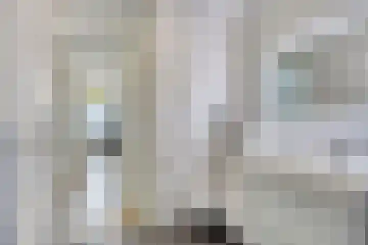 van Maanenstraat 28 Eindhoven thumbnail 18