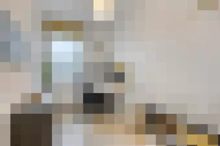 van Maanenstraat 28 Eindhoven thumbnail 20
