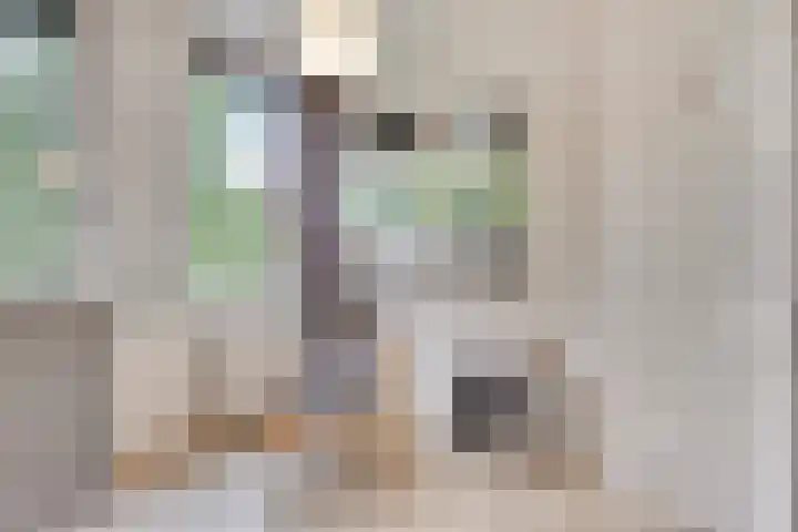 van Maanenstraat 28 Eindhoven thumbnail 21