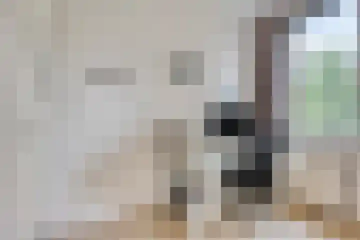 van Maanenstraat 28 Eindhoven thumbnail 22