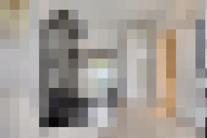 van Maanenstraat 28 Eindhoven thumbnail 24