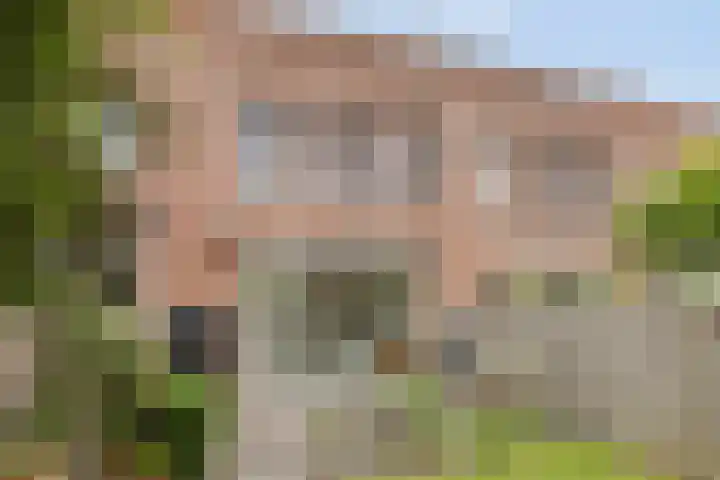 van Maanenstraat 28 Eindhoven thumbnail 32