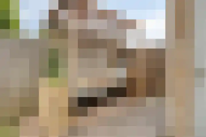 van Maanenstraat 28 Eindhoven thumbnail 33