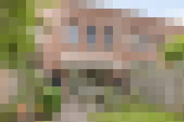 van Maanenstraat 28 Eindhoven thumbnail 34