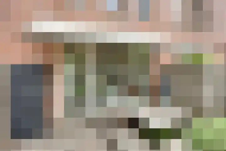 van Maanenstraat 28 Eindhoven thumbnail 35