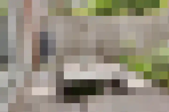 van Maanenstraat 28 Eindhoven thumbnail 36