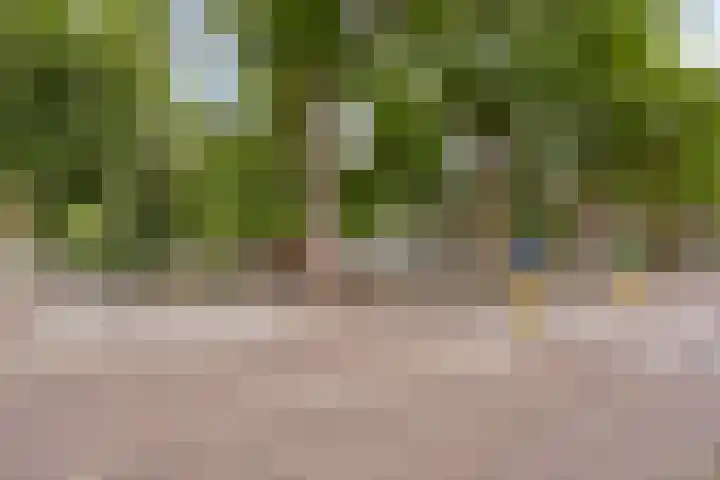 van Maanenstraat 28 Eindhoven thumbnail 39