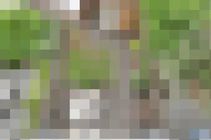 van Maanenstraat 28 Eindhoven thumbnail 4