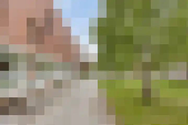 van Maanenstraat 28 Eindhoven thumbnail 43