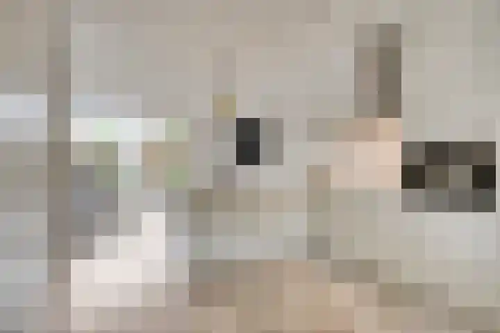 van Maanenstraat 28 Eindhoven thumbnail 8