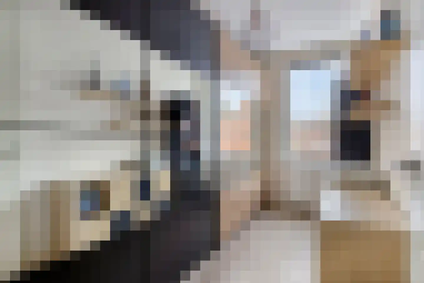van Maanenstraat 31 Eindhoven thumbnail 17
