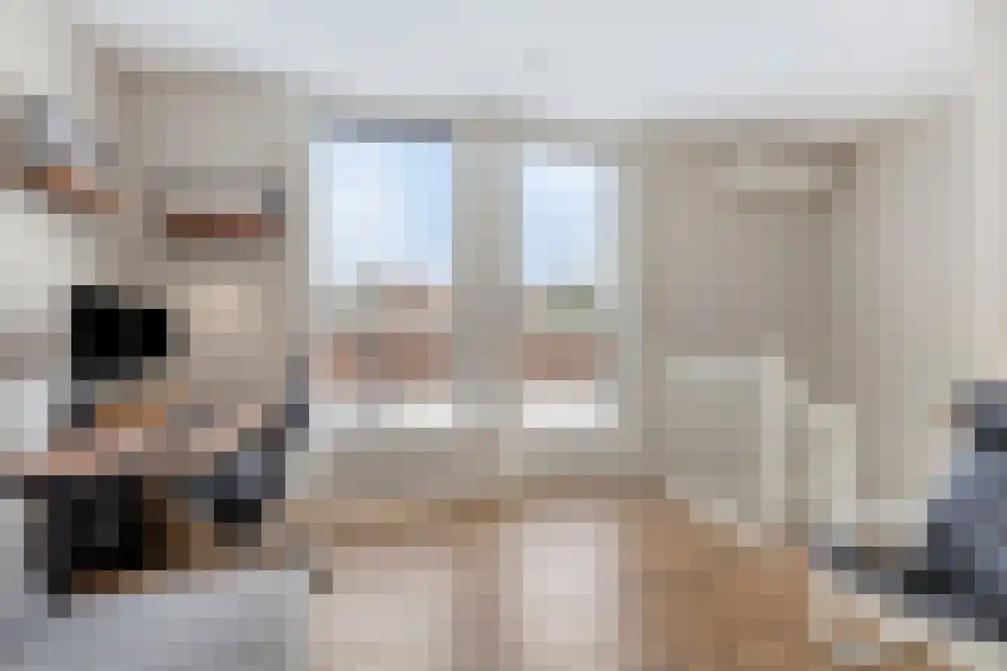 van Maanenstraat 31 Eindhoven thumbnail 20