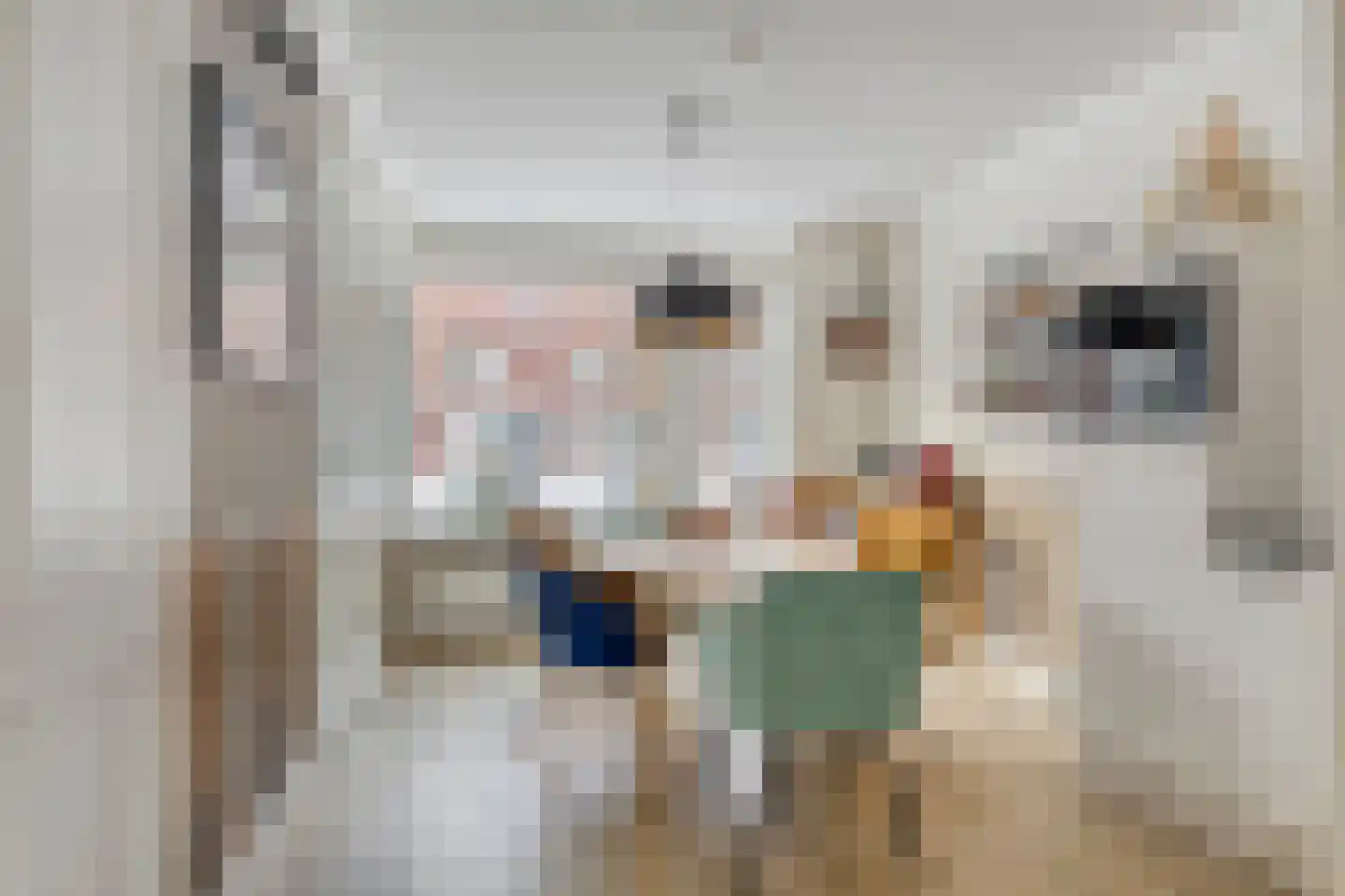van Maanenstraat 31 Eindhoven thumbnail 5