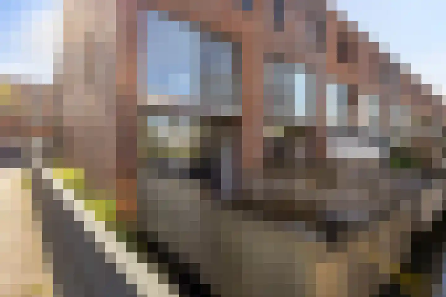 Van Maanenstraat 31 Schiedam thumbnail 15