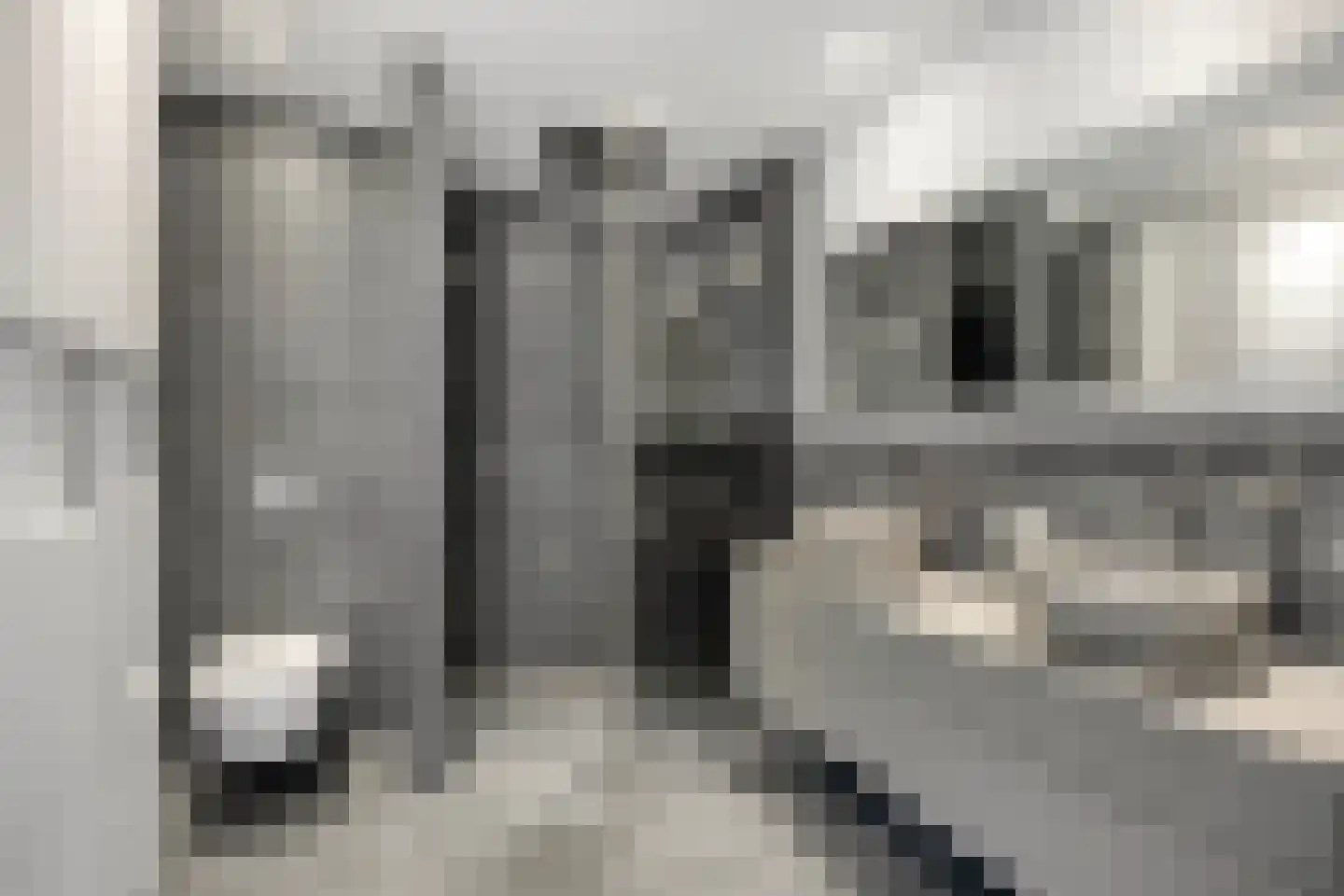 Van Maanenstraat 31 Schiedam thumbnail 25