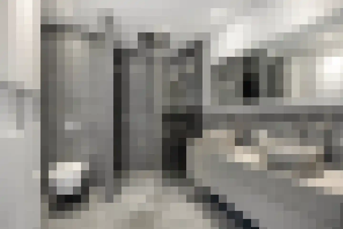 Van Maanenstraat 31 Schiedam thumbnail 26