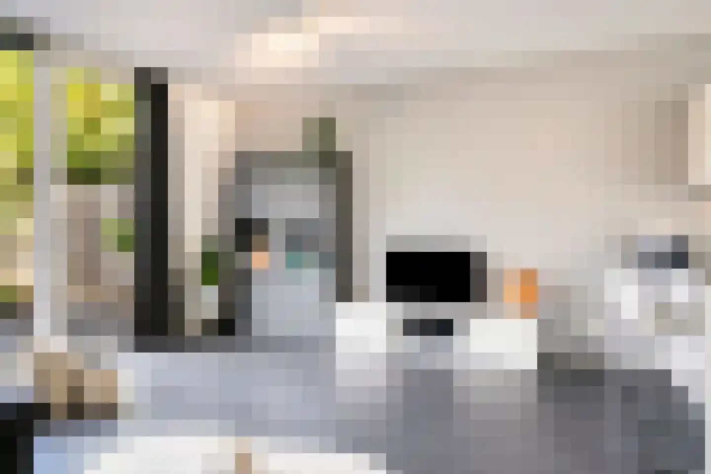 van Maanenstraat 32 Eindhoven thumbnail 12