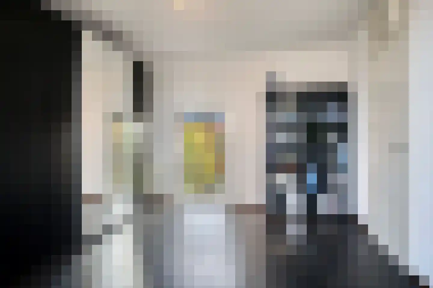 van Maanenstraat 32 Eindhoven thumbnail 22
