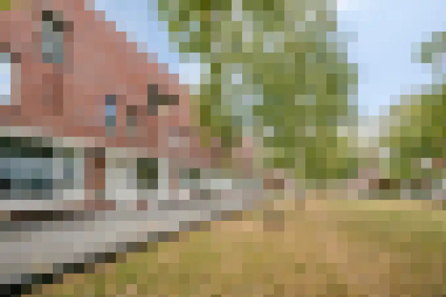 van Maanenstraat 32 Eindhoven thumbnail 30