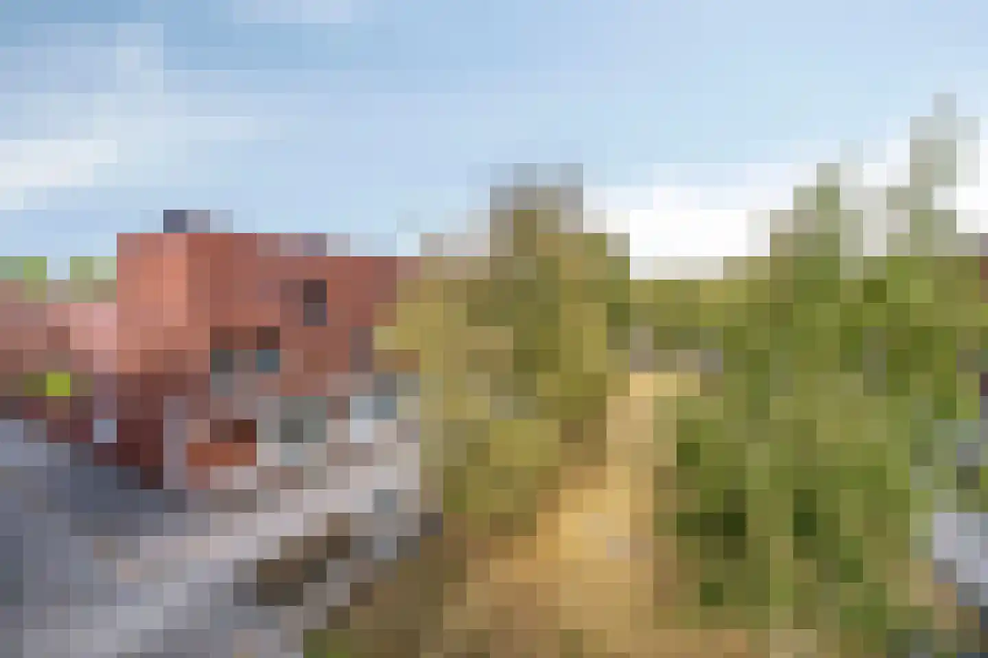 van Maanenstraat 32 Eindhoven thumbnail 31