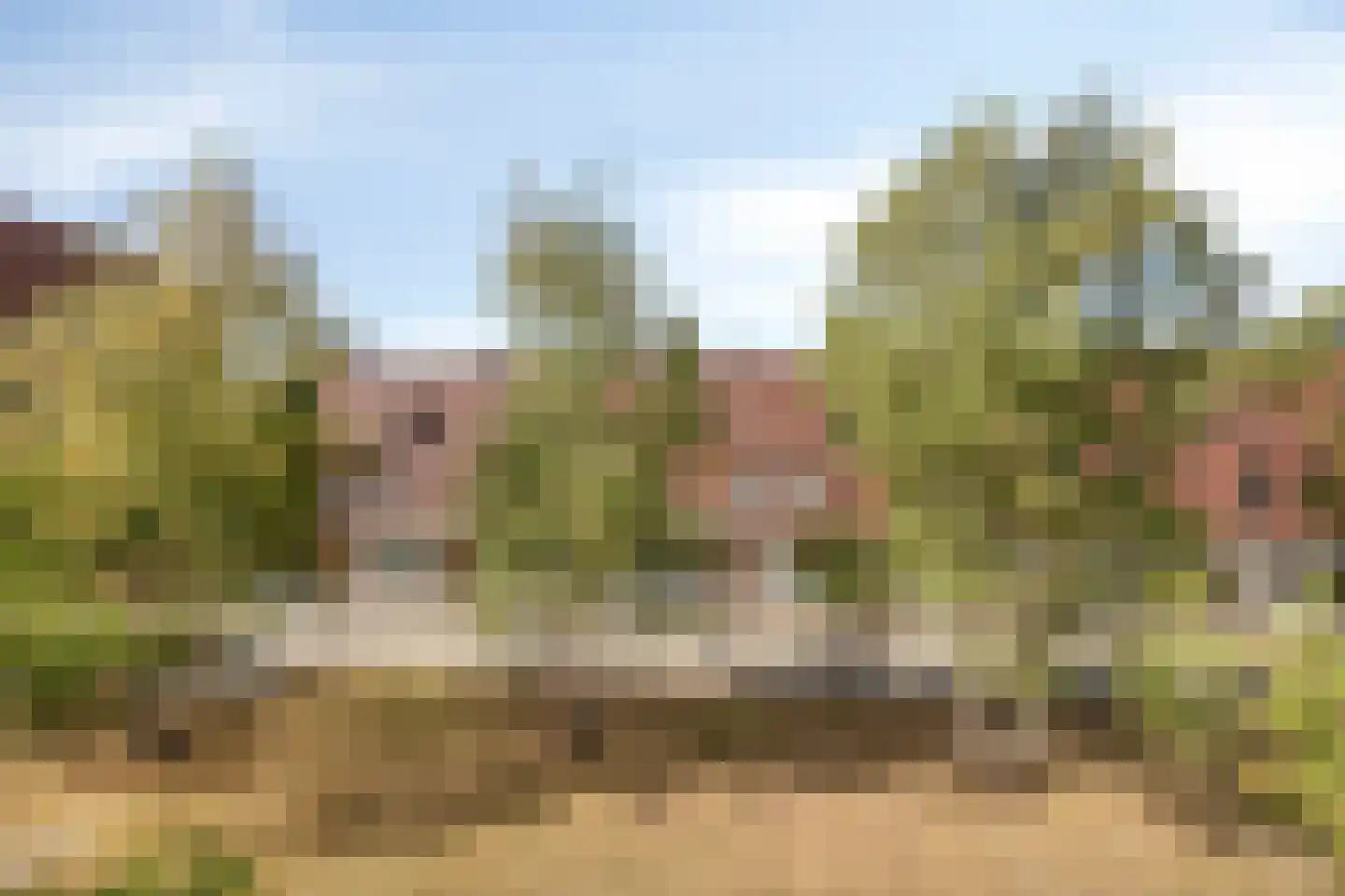 van Maanenstraat 32 Eindhoven thumbnail 32