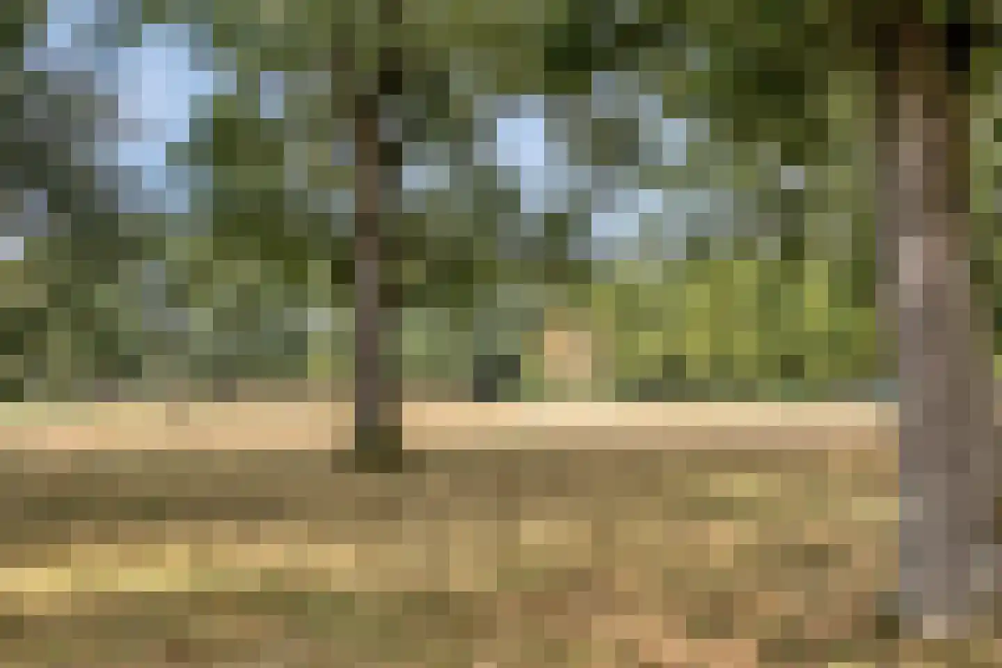 van Maanenstraat 32 Eindhoven thumbnail 34