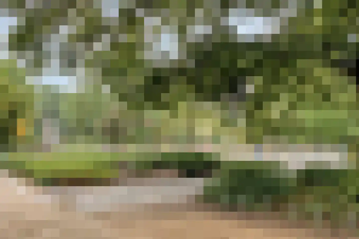van Maanenstraat 32 Eindhoven thumbnail 36