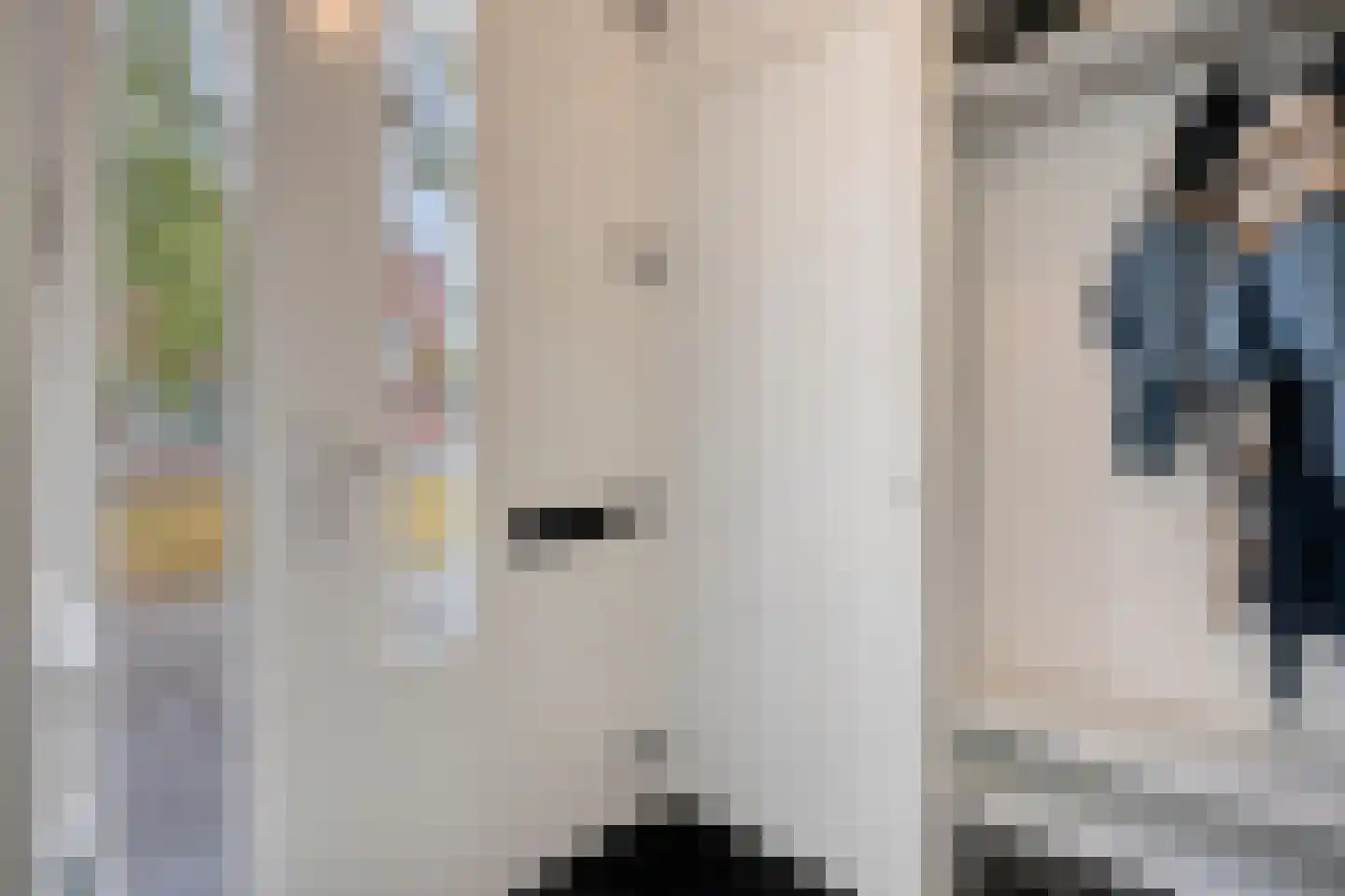 van Maanenstraat 32 Eindhoven thumbnail 5
