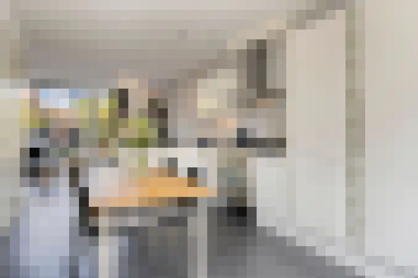 van Maanenstraat 32 Eindhoven thumbnail 7