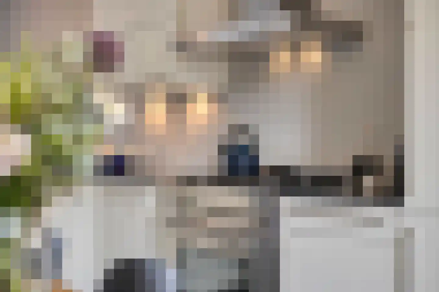 van Maanenstraat 32 Eindhoven thumbnail 8