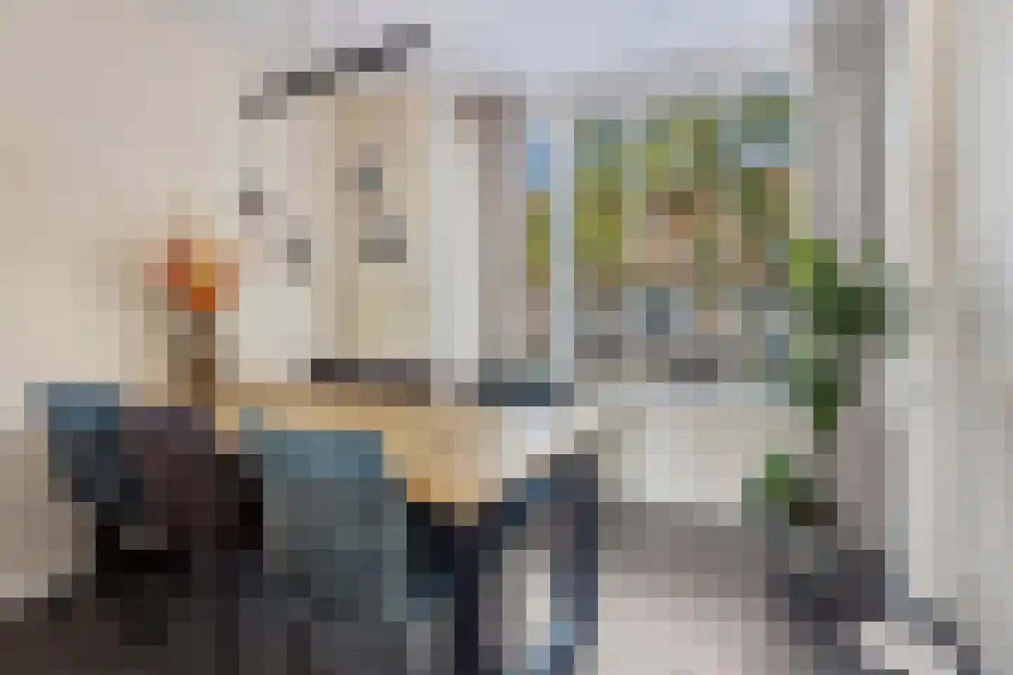 van Maanenstraat 36 Eindhoven thumbnail 12