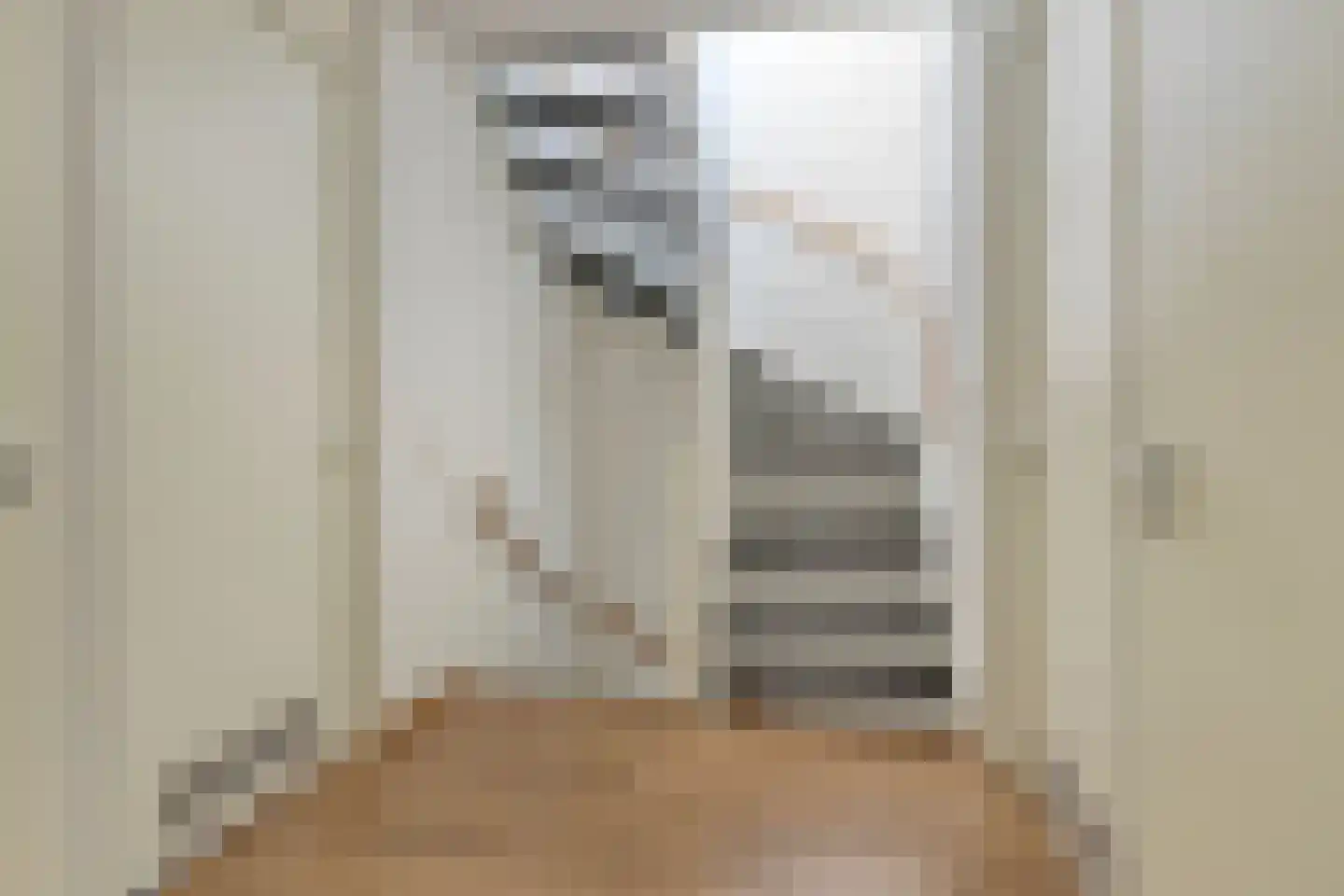 van Maanenstraat 36 Eindhoven thumbnail 20