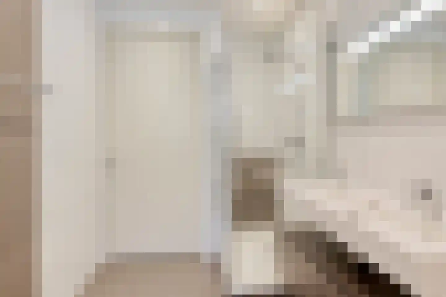 van Maanenstraat 36 Eindhoven thumbnail 28
