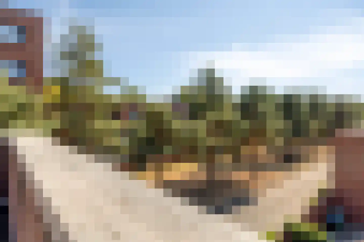 van Maanenstraat 36 Eindhoven thumbnail 38