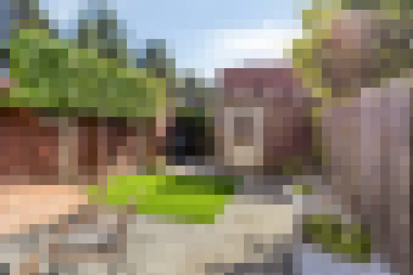 van Maanenstraat 36 Eindhoven thumbnail 39