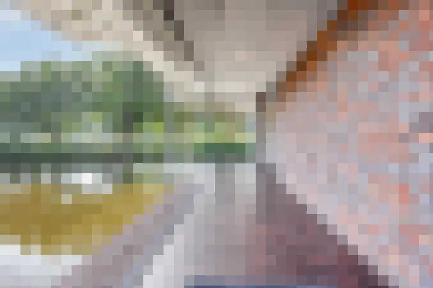 Van Maanenstraat 63 Schiedam thumbnail 38